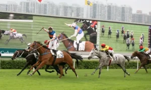 Bí Kíp Làm Giàu Nhanh Chóng Từ Sàn Đấu Đua Ngựa VNZ6 Đỉnh Cao Hấp Dẫn