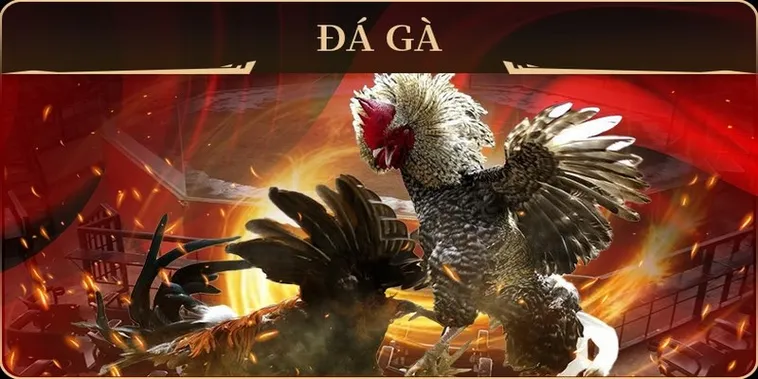 Chinh Phục Mọi Đấu Trường Với Cách Chơi Đá Gà GA28 Tại VNZ6 Siêu Đơn Giản