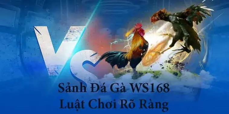 Hướng Dẫn Chi Tiết Cách Chơi Đá Gà WS168 Tại VNZ6 Thắng Lớn Mỗi Ngày