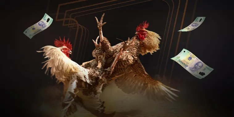 Đỉnh Cao Với Đá Gà VNZ6 Cơ Hội Rinh Tiền Thưởng Lớn Về Túi